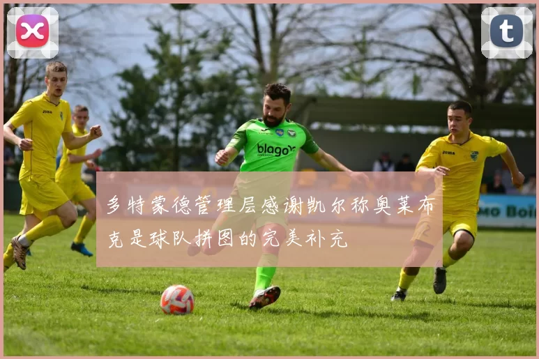 多特蒙德管理层感谢凯尔称奥莱布克是球队拼图的完美补充